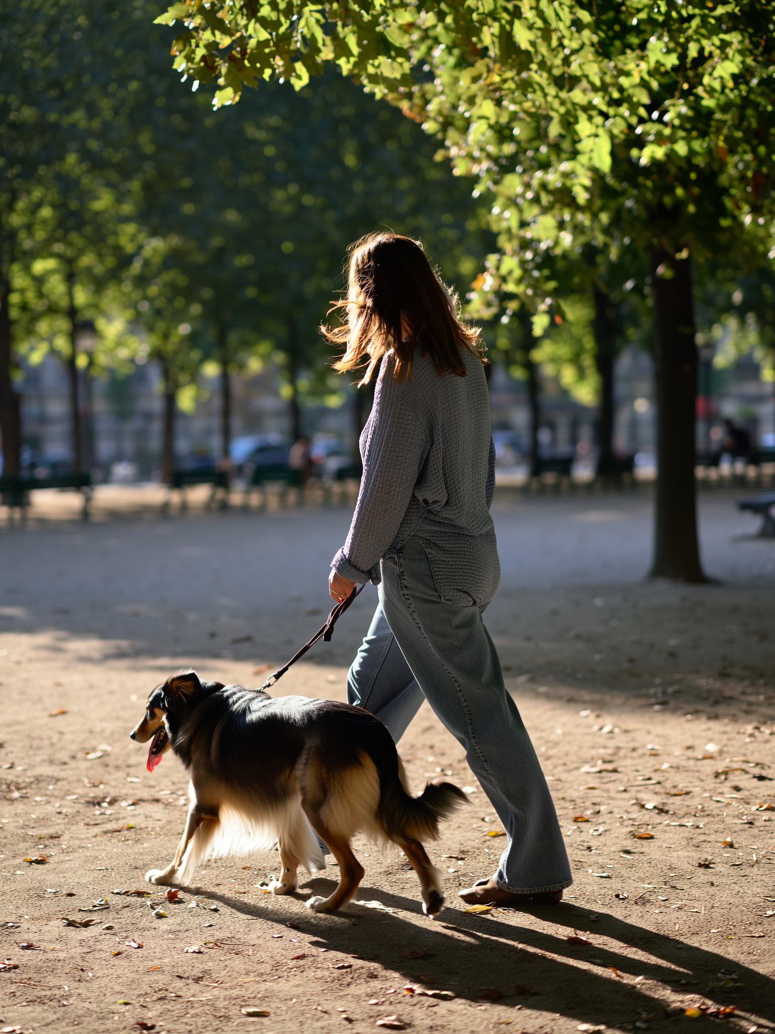 Owner walking with their dog on a Summer's evening.